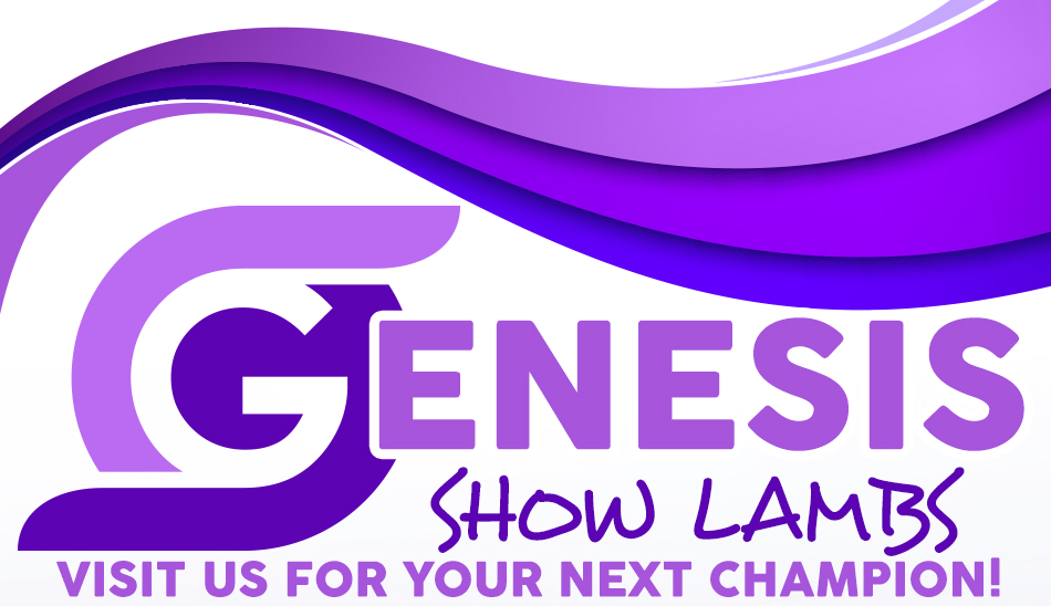 Genesis Show Stock