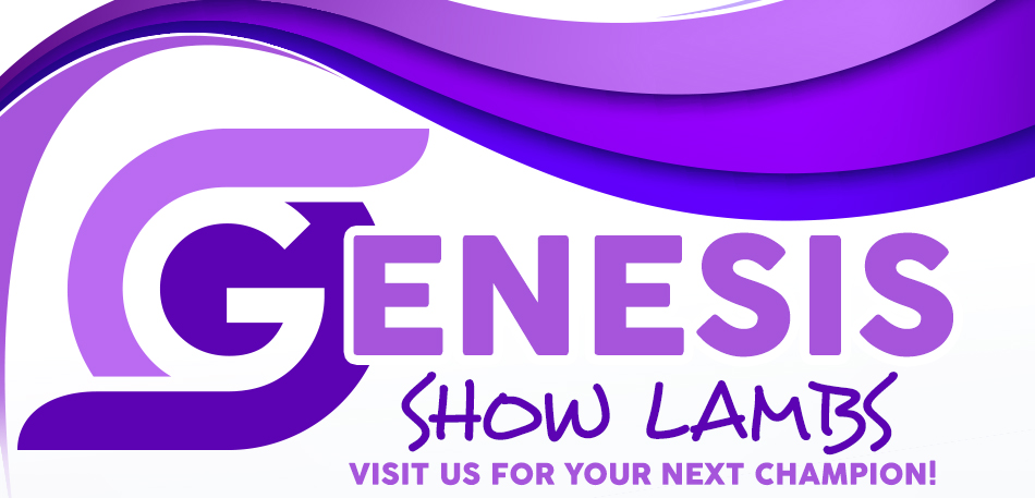 Genesis Show Stock